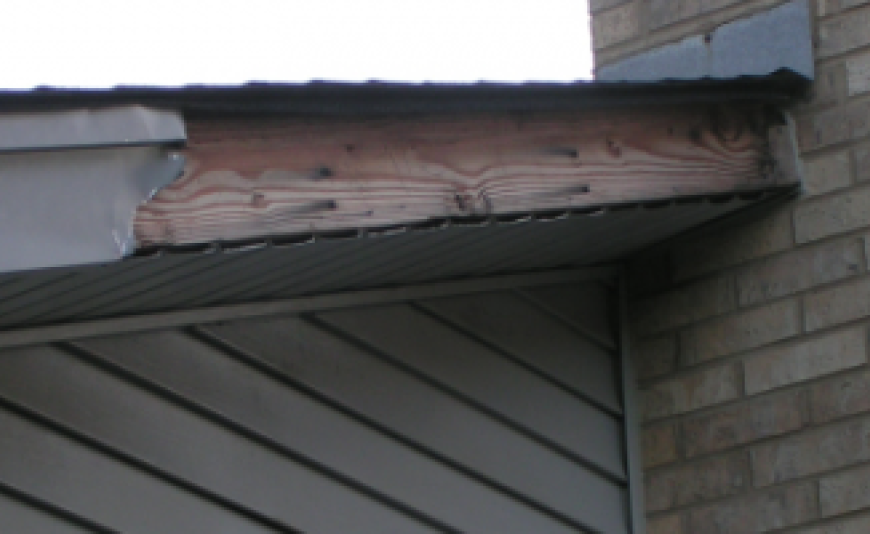 Wind Damaged Trim